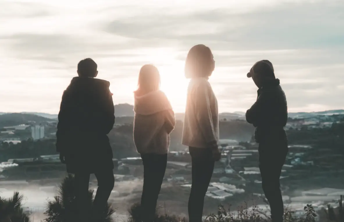 article 7 image