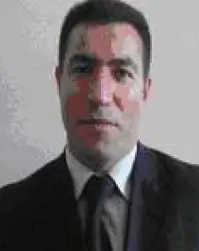 article 13 author image